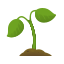 planta de semillero icon