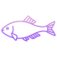 Japanese Bitterling Fish icon