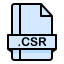 Csr icon