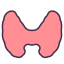 Thyroid Gland icon