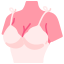 Brassiere icon