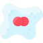 Bacteria icon