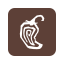 chipotle icon
