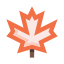 Maple leaf icon