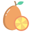 Kumquat icon