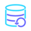 Backup dei dati icon