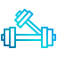 Dumbbell icon