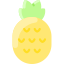 Ananas icon