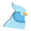 Bird icon