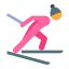 pele de esqui cross-country tipo 2 icon
