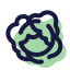 Cabbage icon