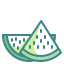 Wassermelone icon