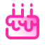 Geburtstag icon