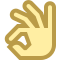 Main Ok icon