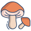 Porcini Mushrooms icon
