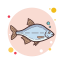 Bream icon