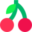 Cherry icon