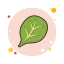 spinaci icon