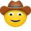 cara-de-sombrero-vaquero icon