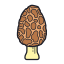 羊肚菌蘑菇 icon