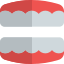 Artificial teeth set also known as denture isolated on a white background icon