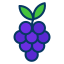 Uvas icon