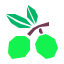 Aceituna icon