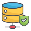 Database Security icon