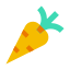 Carota icon