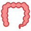 Colon icon