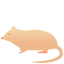 Rat icon