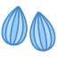 Almond icon