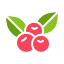 Berries icon