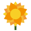 Flora icon