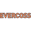 에버코스 icon