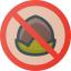 Ghianda icon