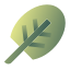 Шпинат icon