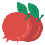 Pomegranate icon