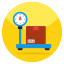 Parcel Weighing icon