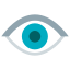 Eye icon