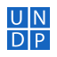 UNDP icon