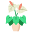 Anthurium icon