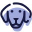 Année du Chien icon