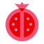 Granatapfel icon