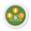 Revenue icon