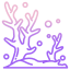 Coral icon