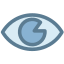 Eye icon