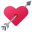 心脏与箭 icon