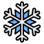 Flocon de neige icon