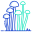 Enokitake Mushrooms icon